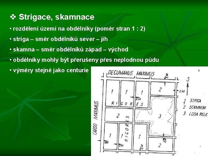 v Strigace, skamnace • rozdělení území na obdélníky (poměr stran 1 : 2) •