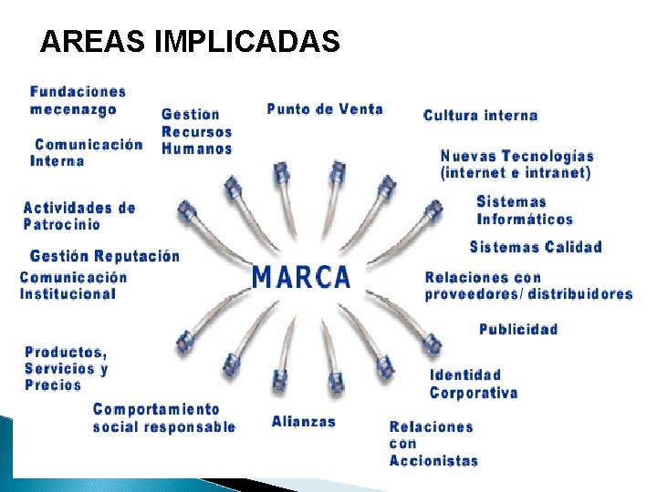 AREAS IMPLICADAS 