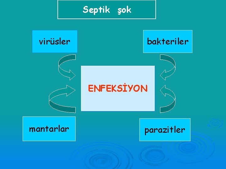 Septik şok virüsler bakteriler ENFEKSİYON mantarlar parazitler 