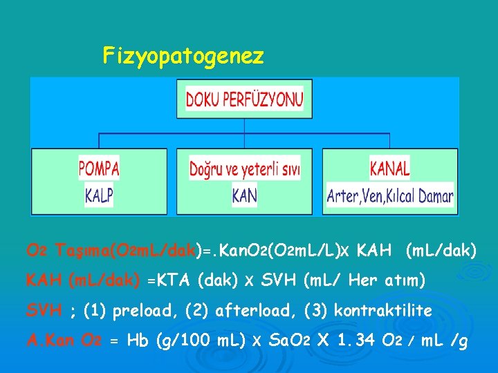 Fizyopatogenez O 2 Taşıma(O 2 m. L/dak)=. Kan. O 2(O 2 m. L/L)X KAH