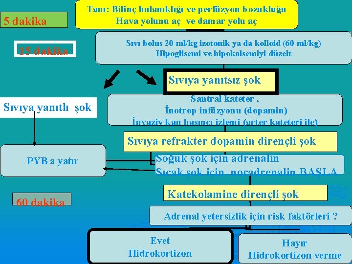 5 dakika Tanı: Bilinç bulanıklığı ve perfüzyon bozukluğu Hava yolunu aç ve damar yolu