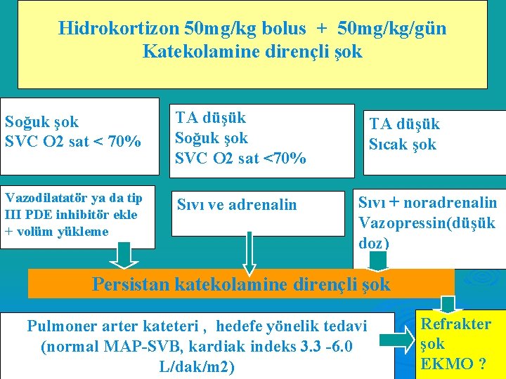 Hidrokortizon 50 mg/kg bolus + 50 mg/kg/gün Katekolamine dirençli şok Kan basıncı normal Soğuk