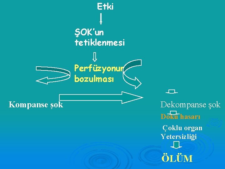 Etki ŞOK’un tetiklenmesi Perfüzyonun bozulması Kompanse şok Dekompanse şok Doku hasarı Çoklu organ Yetersizliği