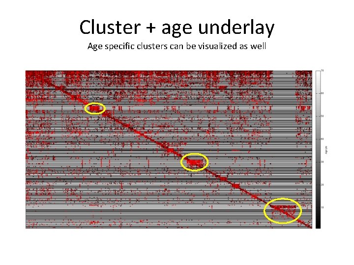 Cluster + age underlay Age specific clusters can be visualized as well 