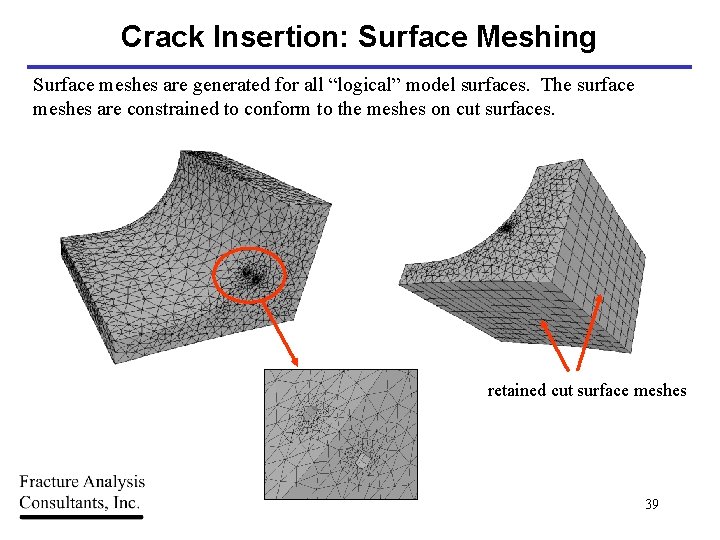 Crack Insertion: Surface Meshing Surface meshes are generated for all “logical” model surfaces. The