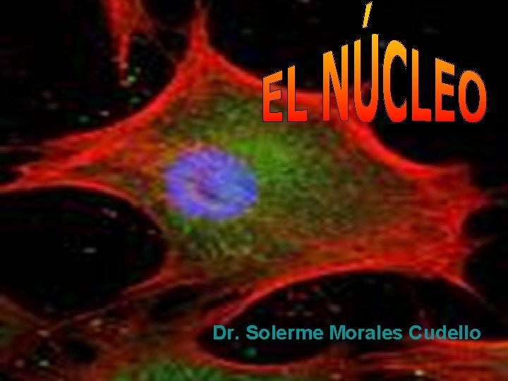 Dr. Solerme Morales Cudello Dr. Solerme Morales Cudello