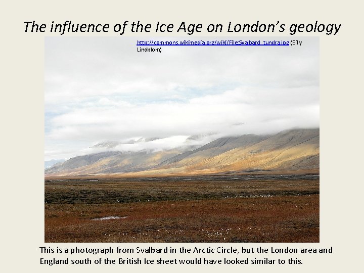 The influence of the Ice Age on London’s geology http: //commons. wikimedia. org/wiki/File: Svalbard_tundra.