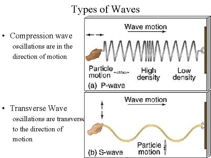 Types of Waves • Compression wave oscillations are in the direction of motion •