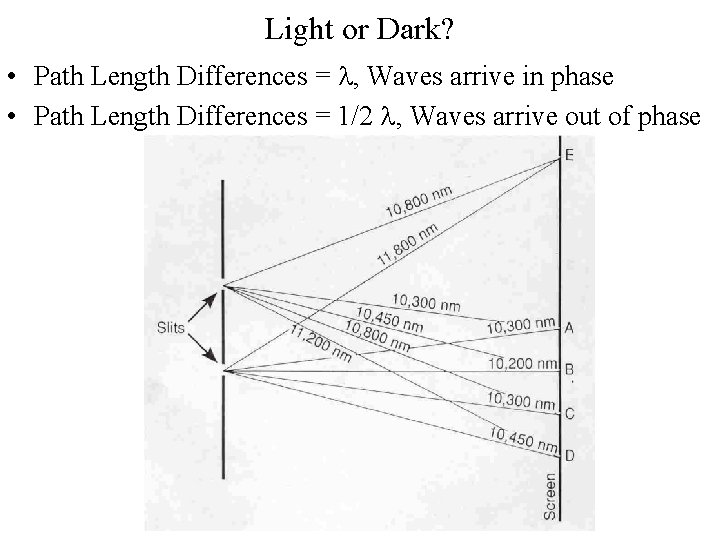 Light or Dark? • Path Length Differences = l, Waves arrive in phase •