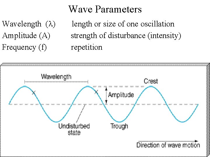 Wave Parameters Wavelength (l) Amplitude (A) Frequency (f) length or size of one oscillation