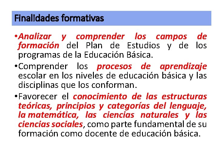 Finalidades formativas • Analizar y comprender los campos de formación del Plan de Estudios Finalidades formativas • Analizar y comprender los campos de formación del Plan de Estudios
