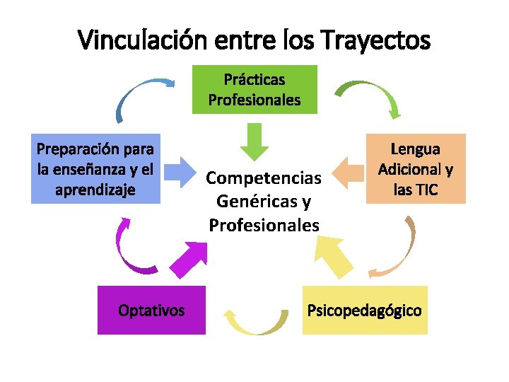 Vinculación entre los Trayectos Prácticas Profesionales Preparación para la enseñanza y el aprendizaje Optativos Vinculación entre los Trayectos Prácticas Profesionales Preparación para la enseñanza y el aprendizaje Optativos