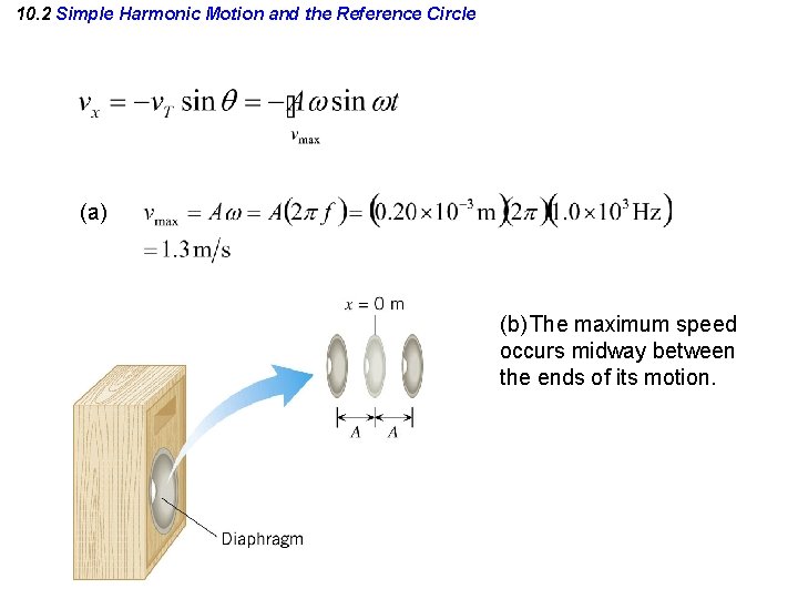 10. 2 Simple Harmonic Motion and the Reference Circle (a) (b) The maximum speed