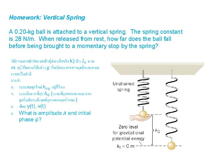Homework: Vertical Spring A 0. 20 -kg ball is attached to a vertical spring.