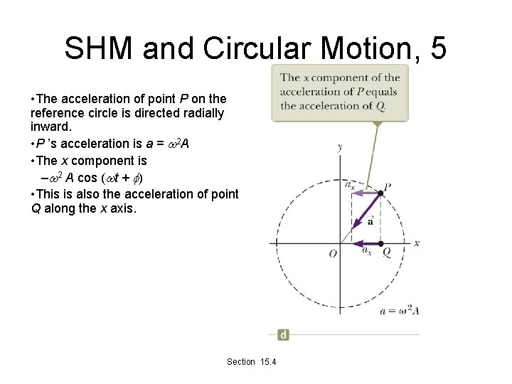 SHM and Circular Motion, 5 • The acceleration of point P on the reference