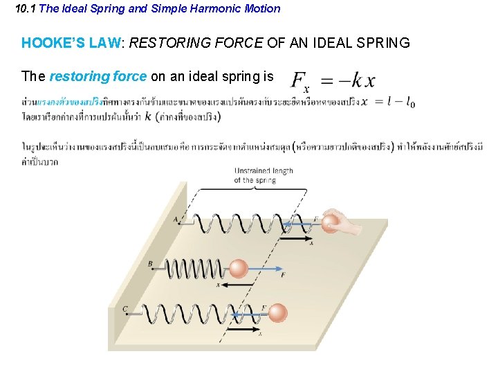 10. 1 The Ideal Spring and Simple Harmonic Motion HOOKE’S LAW: RESTORING FORCE OF