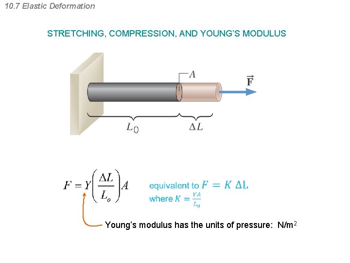 10. 7 Elastic Deformation STRETCHING, COMPRESSION, AND YOUNG’S MODULUS Young’s modulus has the units