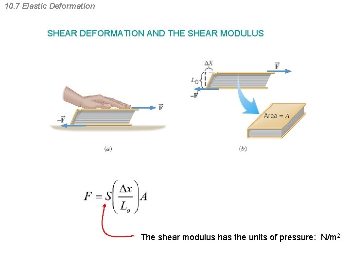 10. 7 Elastic Deformation SHEAR DEFORMATION AND THE SHEAR MODULUS The shear modulus has