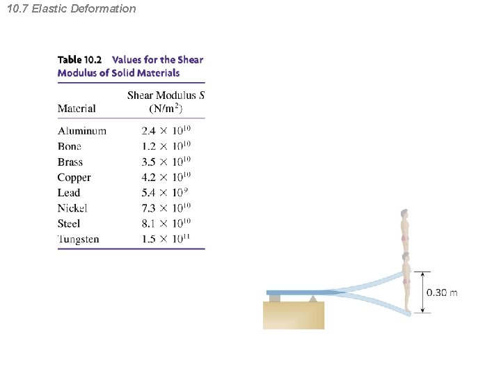 10. 7 Elastic Deformation 