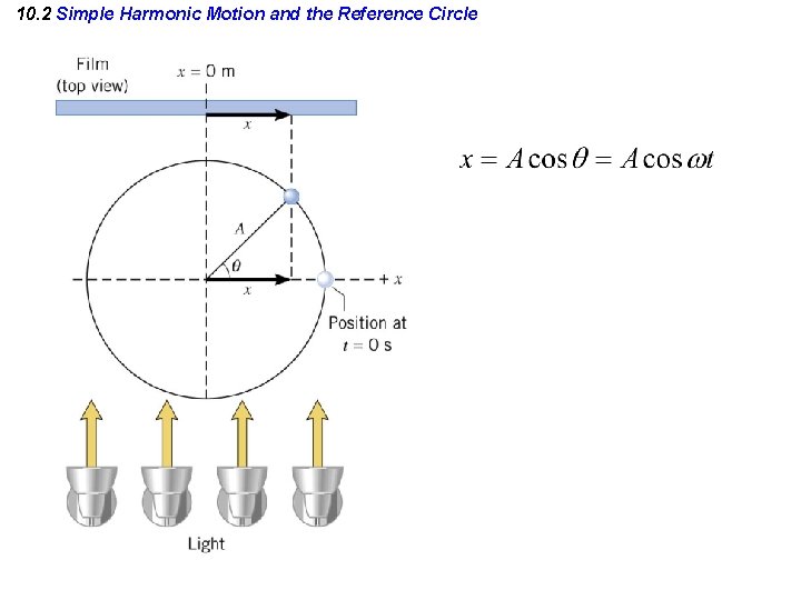 10. 2 Simple Harmonic Motion and the Reference Circle 