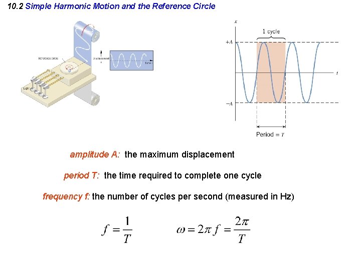 10. 2 Simple Harmonic Motion and the Reference Circle amplitude A: the maximum displacement