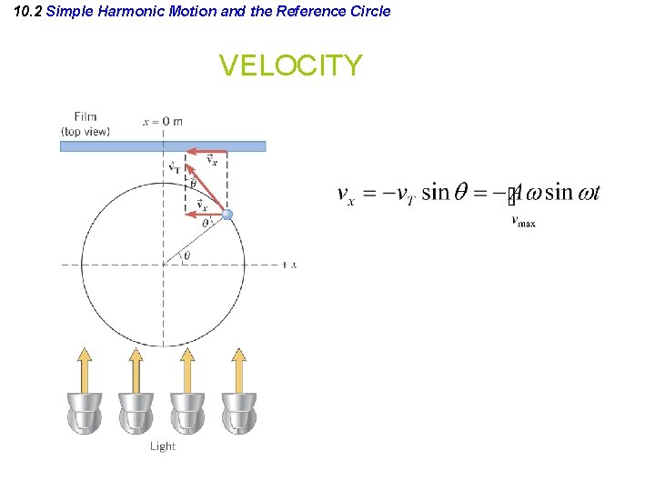 10. 2 Simple Harmonic Motion and the Reference Circle VELOCITY 