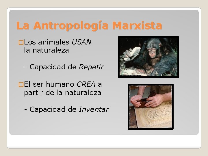 La Antropología Marxista � Los animales USAN la naturaleza - Capacidad de Repetir � La Antropología Marxista � Los animales USAN la naturaleza - Capacidad de Repetir �