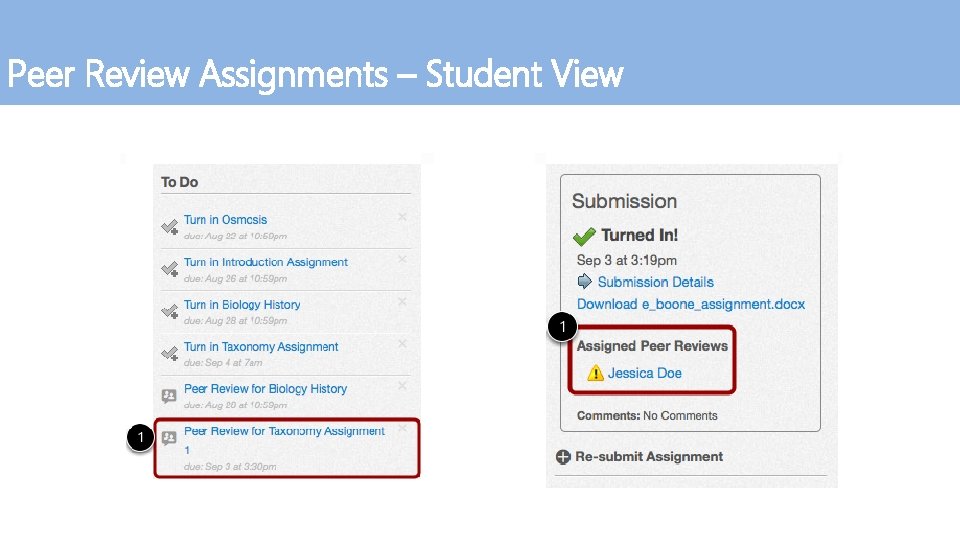 Peer Review Assignments – Student View 