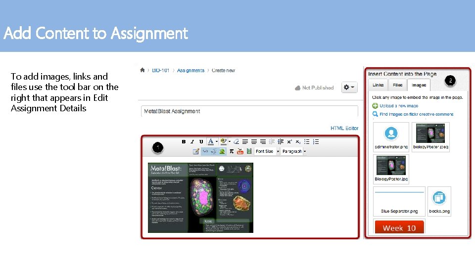Add Content to Assignment To add images, links and files use the tool bar