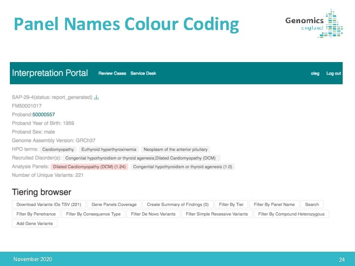 Panel Names Colour Coding November 2020 24 