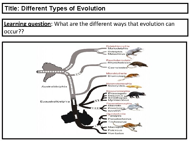 Title: Different Types of Evolution Learning question: What are the different ways that evolution