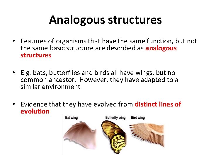 Analogous structures • Features of organisms that have the same function, but not the
