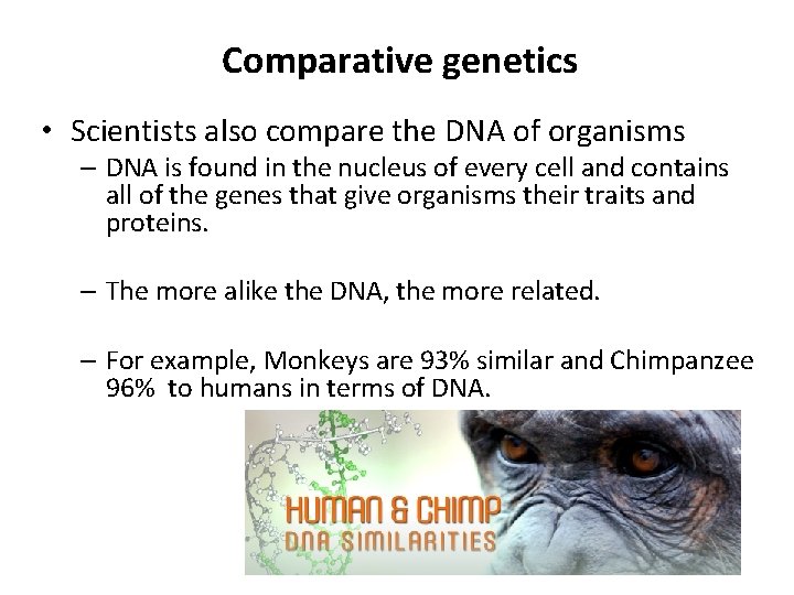 Comparative genetics • Scientists also compare the DNA of organisms – DNA is found