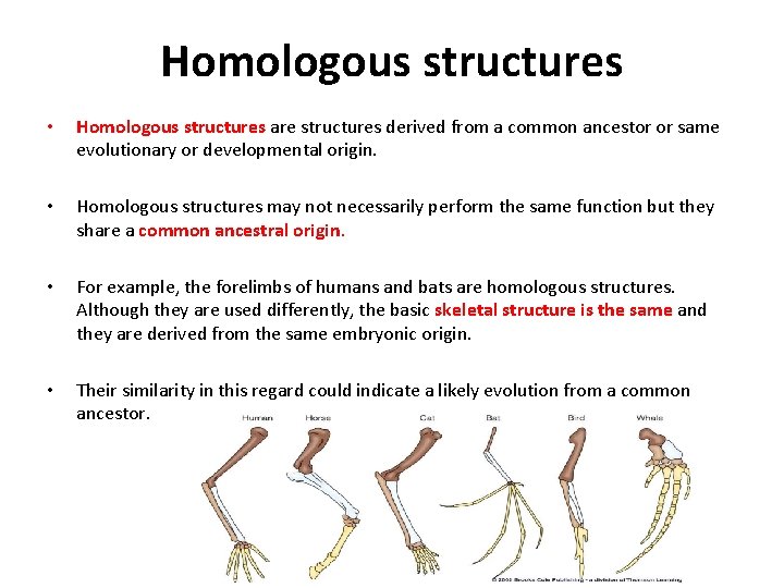Homologous structures • Homologous structures are structures derived from a common ancestor or same