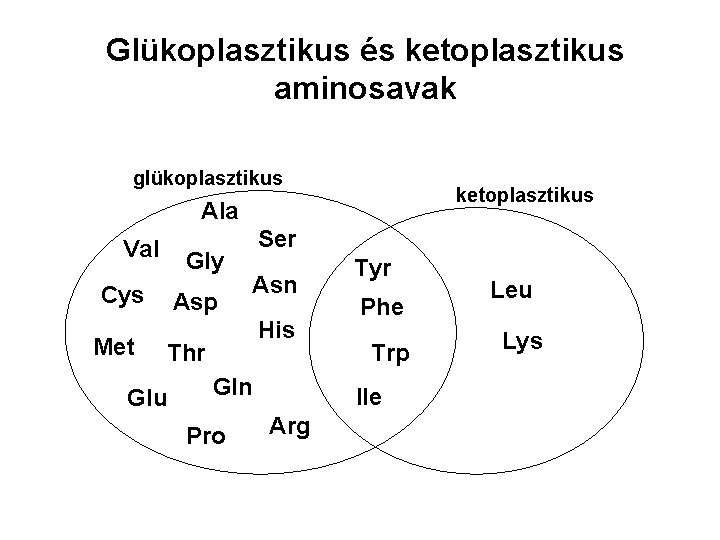 Glükoplasztikus és ketoplasztikus aminosavak glükoplasztikus ketoplasztikus Ala Val Gly Cys Met Asp Ser Asn