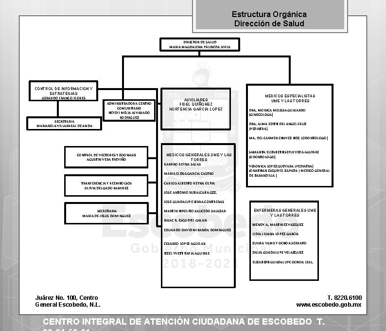 Estructura Orgánica Dirección de Salud DIRECTOR DE SALUD MARIA MAGDALENA PRUNEDA AVILA CONTROL DE