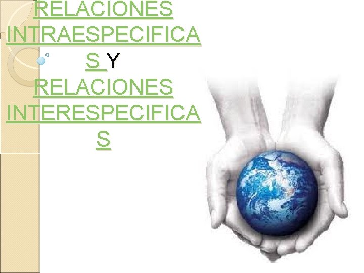 RELACIONES INTRAESPECIFICA SY RELACIONES INTERESPECIFICA S 