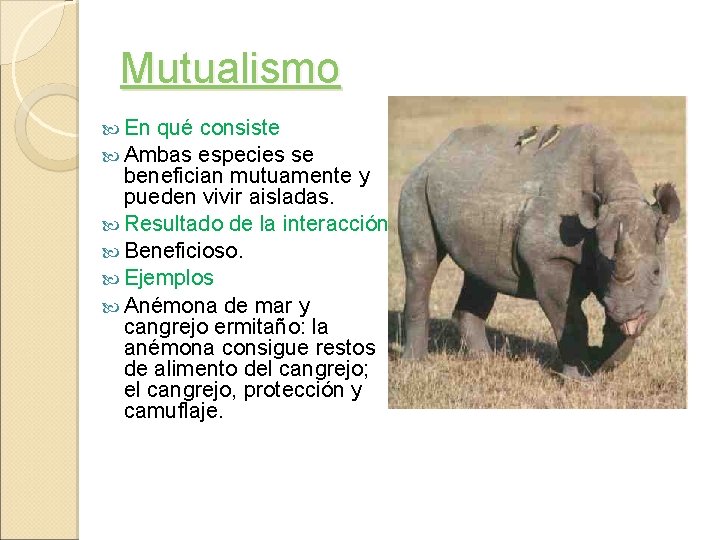Mutualismo En qué consiste Ambas especies se benefician mutuamente y pueden vivir aisladas. Resultado
