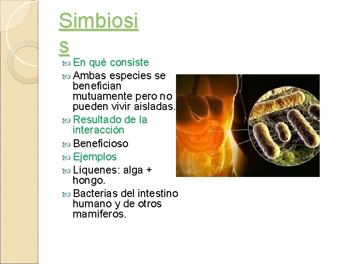 Simbiosi s En qué consiste Ambas especies se benefician mutuamente pero no pueden vivir