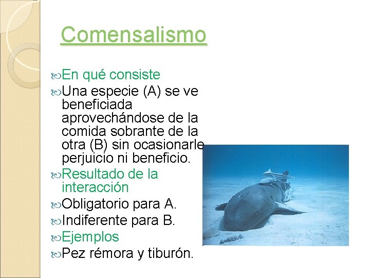 Comensalismo En qué consiste Una especie (A) se ve beneficiada aprovechándose de la comida