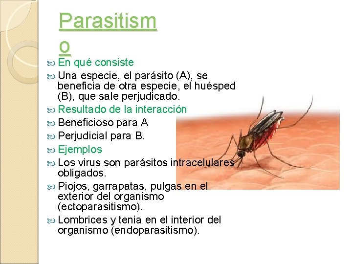 Parasitism o En qué consiste Una especie, el parásito (A), se beneficia de otra