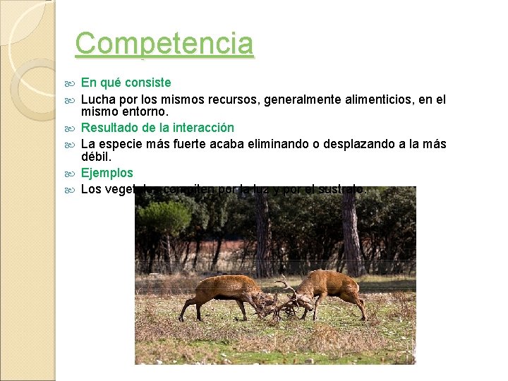 Competencia En qué consiste Lucha por los mismos recursos, generalmente alimenticios, en el mismo