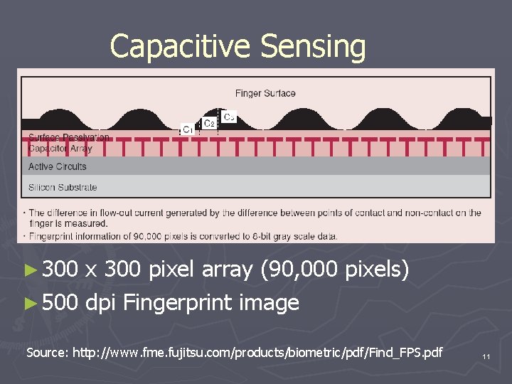 Capacitive Sensing ► 300 x 300 pixel array (90, 000 pixels) ► 500 dpi