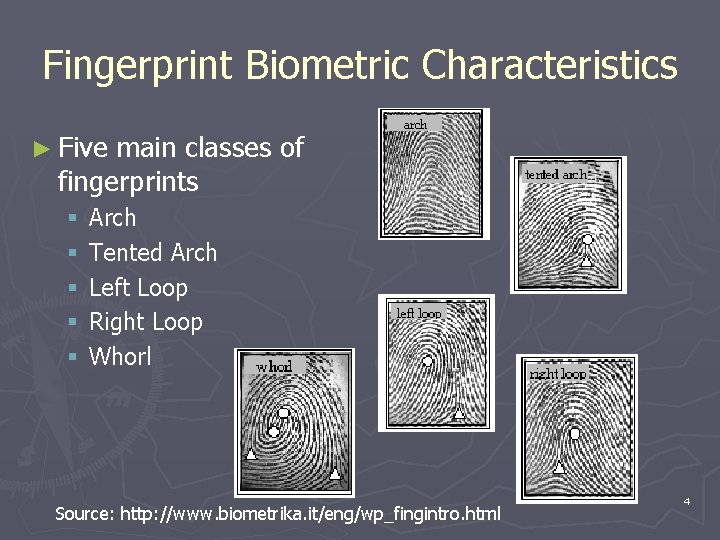 Fingerprint Biometric Characteristics ► Five main classes of fingerprints § § § Arch Tented