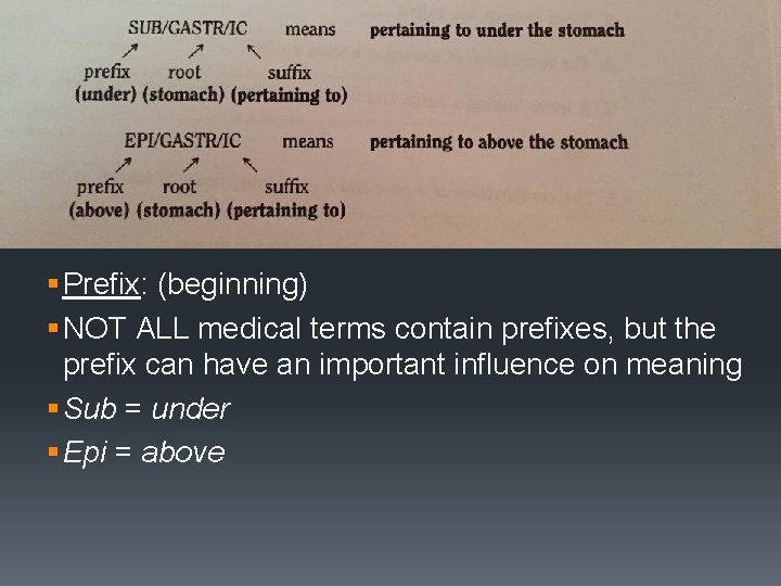 Dividing Words Into Component Parts § Prefix: (beginning) § NOT ALL medical terms contain