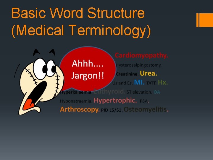 Basic Word Structure (Medical Terminology) Basic Word Structure (Medical Terminology)
