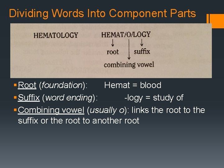 Dividing Words Into Component Parts § Root (foundation): Hemat = blood § Suffix (word