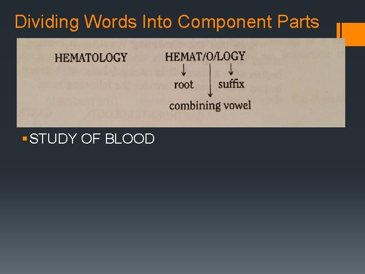 Dividing Words Into Component Parts § STUDY OF BLOOD 