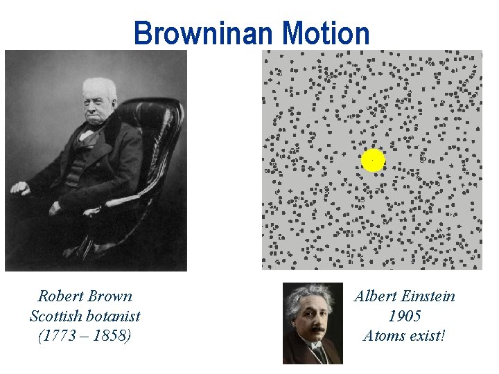 Browninan Motion Robert Brown Scottish botanist (1773 – 1858) Albert Einstein 1905 Atoms exist!