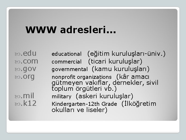 WWW adresleri. . edu . com . gov . org . mil . k